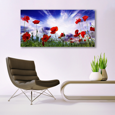 Canvas Wall art Poppies nature red green purple white