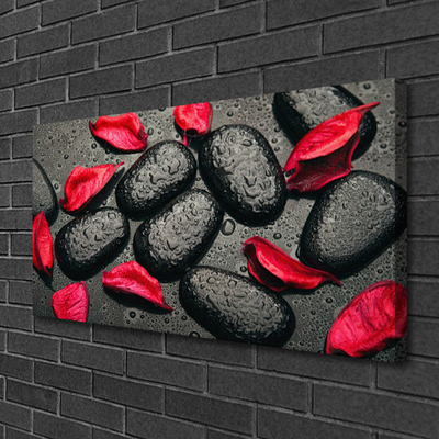 Canvas Wall art Petals stones art red grey