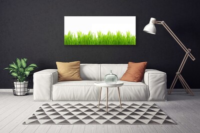 Canvas Wall art Weed nature green