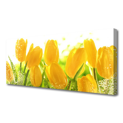 Canvas Wall art Tulips floral yellow green