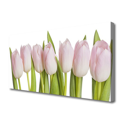 Canvas Wall art Tulips floral pink green