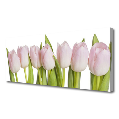 Canvas Wall art Tulips floral pink green