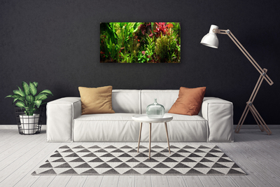 Canvas Wall art Plants nature green orange