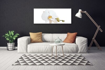 Canvas Wall art Flower floral white