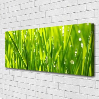 Canvas Wall art Grass nature green