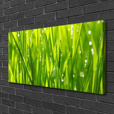 Canvas Wall art Grass nature green