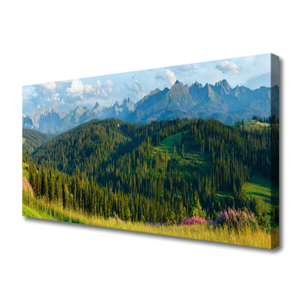 Canvas Wall art Mountain forest nature green
