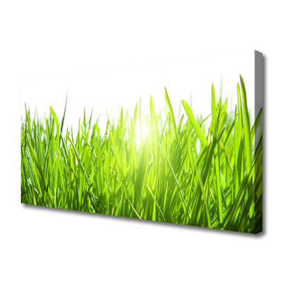 Canvas Wall art Grass nature green