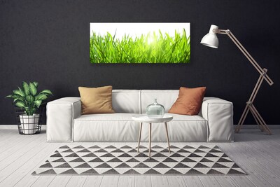 Canvas Wall art Grass nature green