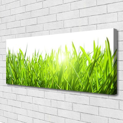 Canvas Wall art Grass nature green