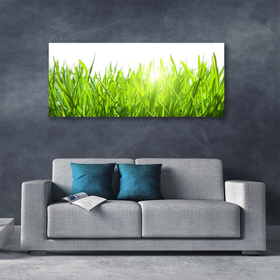 Canvas Wall art Grass nature green