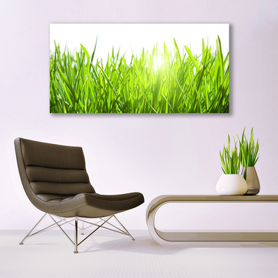 Canvas Wall art Grass nature green