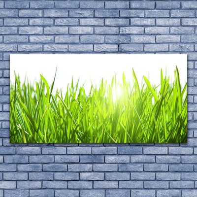 Canvas Wall art Grass nature green