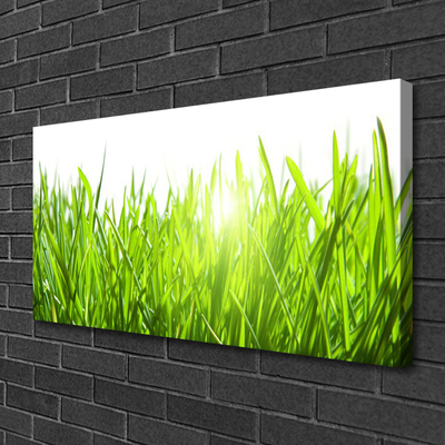 Canvas Wall art Grass nature green