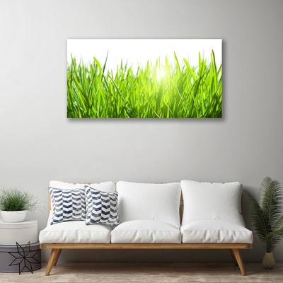 Canvas Wall art Grass nature green