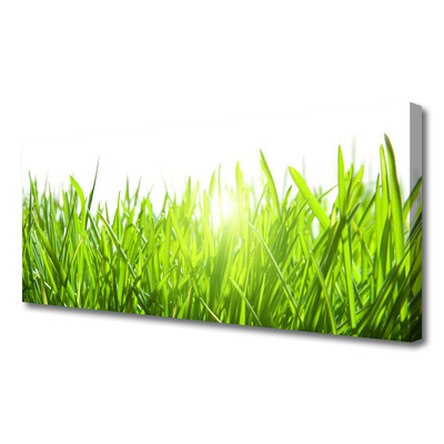 Canvas Wall art Grass nature green