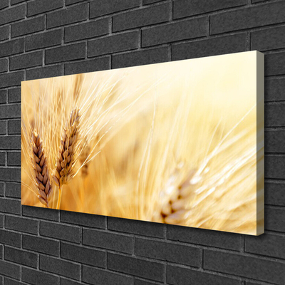 Canvas Wall art Wheat floral yellow