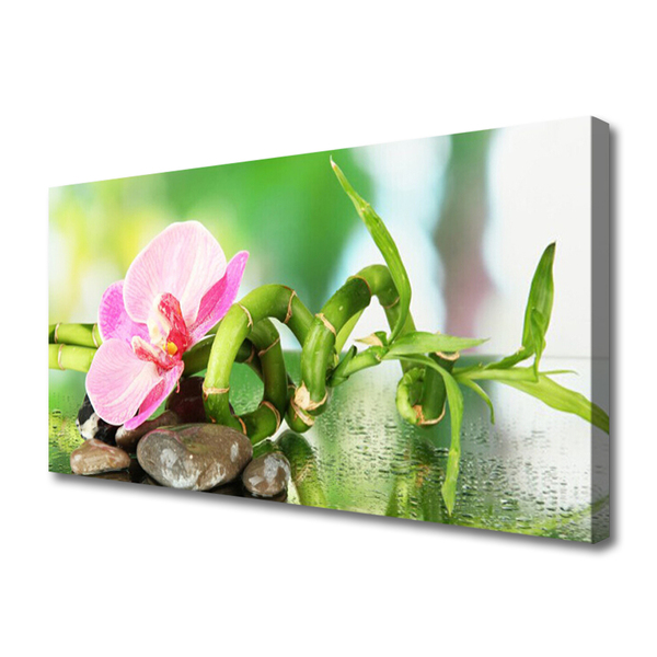 Canvas Wall art Bamboo stalk flower stones nature green pink grey