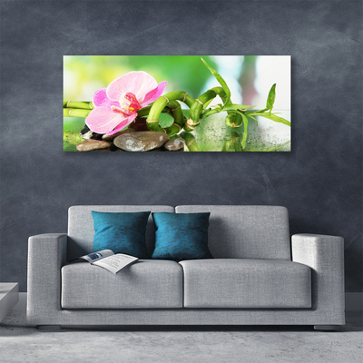 Canvas Wall art Bamboo stalk flower stones nature green pink grey