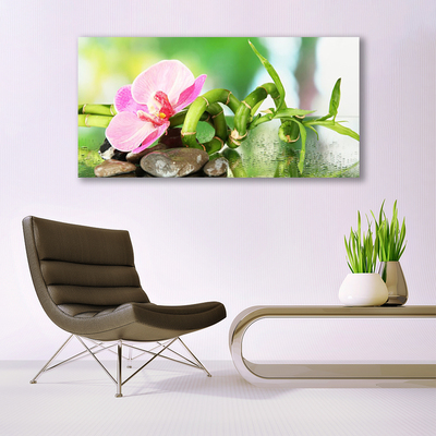 Canvas Wall art Bamboo stalk flower stones nature green pink grey