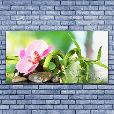 Canvas Wall art Bamboo stalk flower stones nature green pink grey