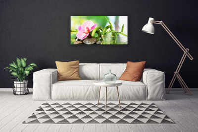 Canvas Wall art Bamboo stalk flower stones nature green pink grey