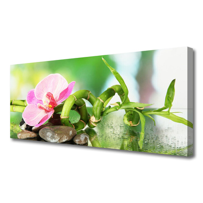 Canvas Wall art Bamboo stalk flower stones nature green pink grey