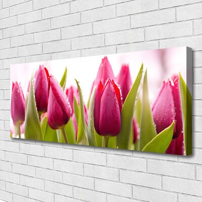 Canvas Wall art Tulips floral red