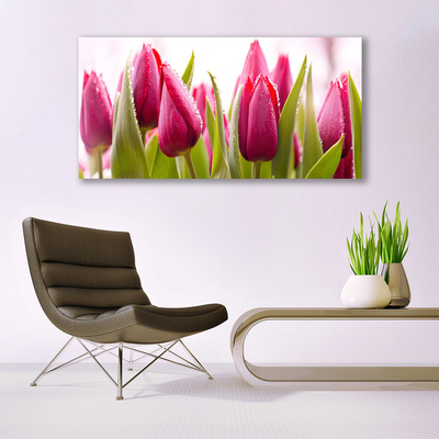 Canvas Wall art Tulips floral red