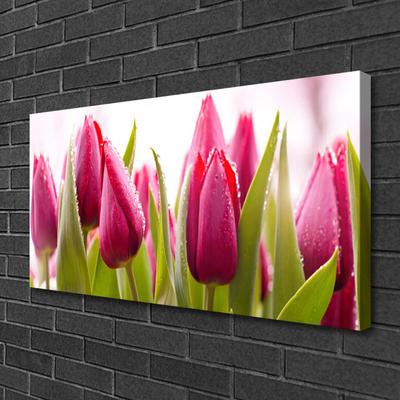 Canvas Wall art Tulips floral red