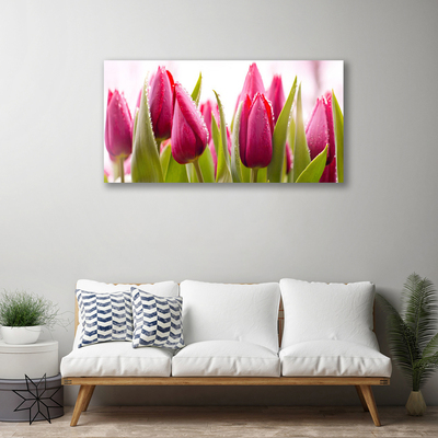 Canvas Wall art Tulips floral red