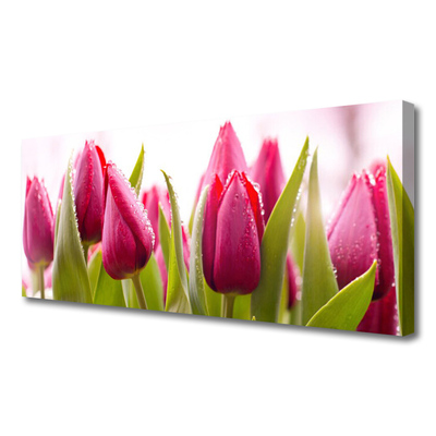 Canvas Wall art Tulips floral red