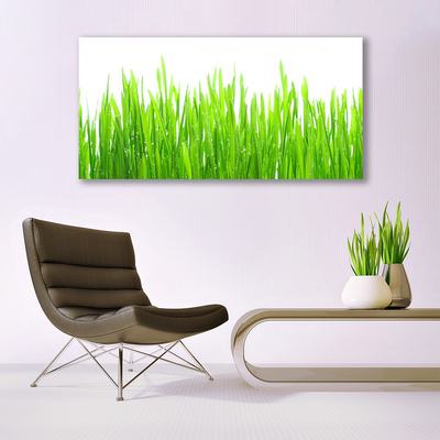 Canvas Wall art Grass nature green