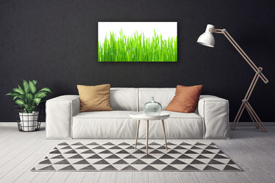 Canvas Wall art Grass nature green