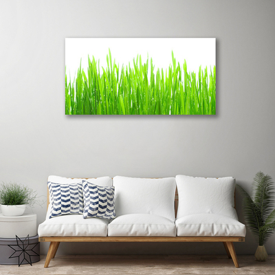 Canvas Wall art Grass nature green