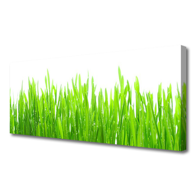 Canvas Wall art Grass nature green