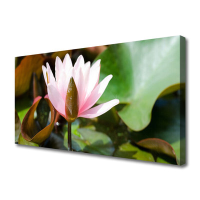 Canvas Wall art Flower floral pink