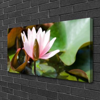 Canvas Wall art Flower floral pink