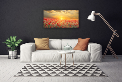 Canvas Wall art Sun meadow poppy flowers nature yellow red green