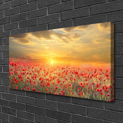Canvas Wall art Sun meadow poppy flowers nature yellow red green