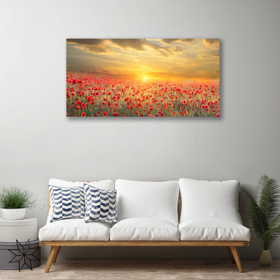 Canvas Wall art Sun meadow poppy flowers nature yellow red green