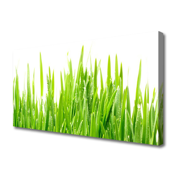 Canvas Wall art Grass nature green