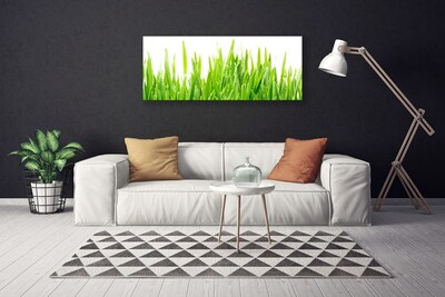 Canvas Wall art Grass nature green