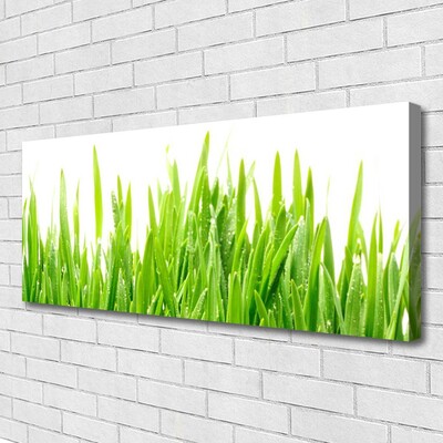 Canvas Wall art Grass nature green