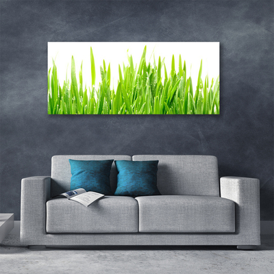 Canvas Wall art Grass nature green