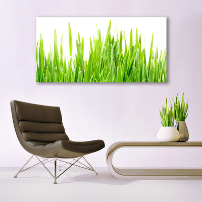 Canvas Wall art Grass nature green