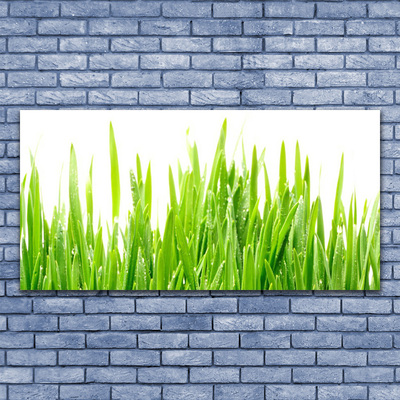 Canvas Wall art Grass nature green