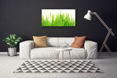 Canvas Wall art Grass nature green