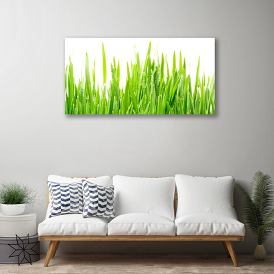 Canvas Wall art Grass nature green