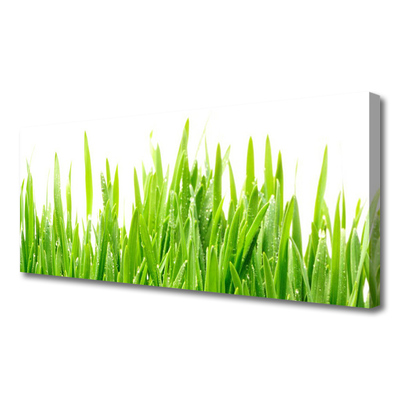 Canvas Wall art Grass nature green